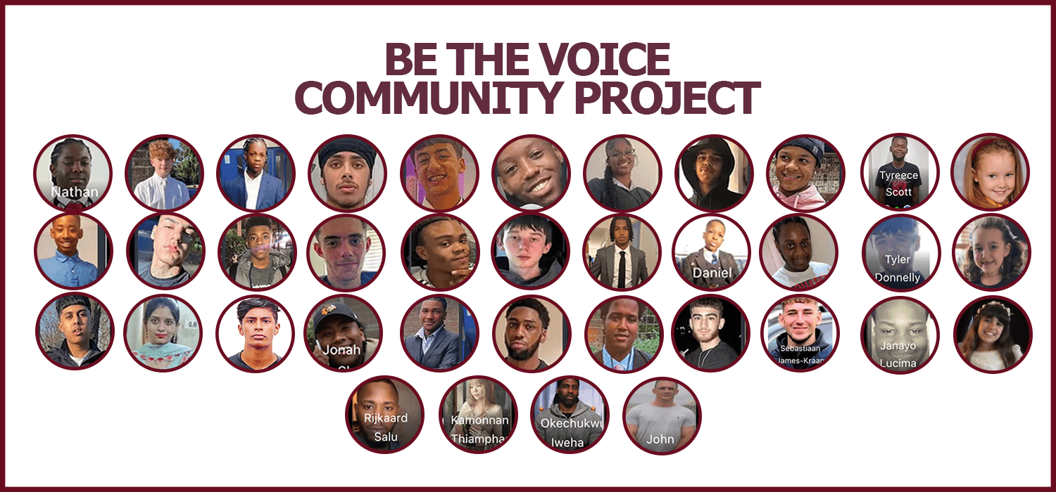 Be The Voice banner